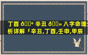 丁酉 🌺 辛丑 🌻 八字命理分析详解「辛丑,丁酉,壬申,甲辰八字命理」